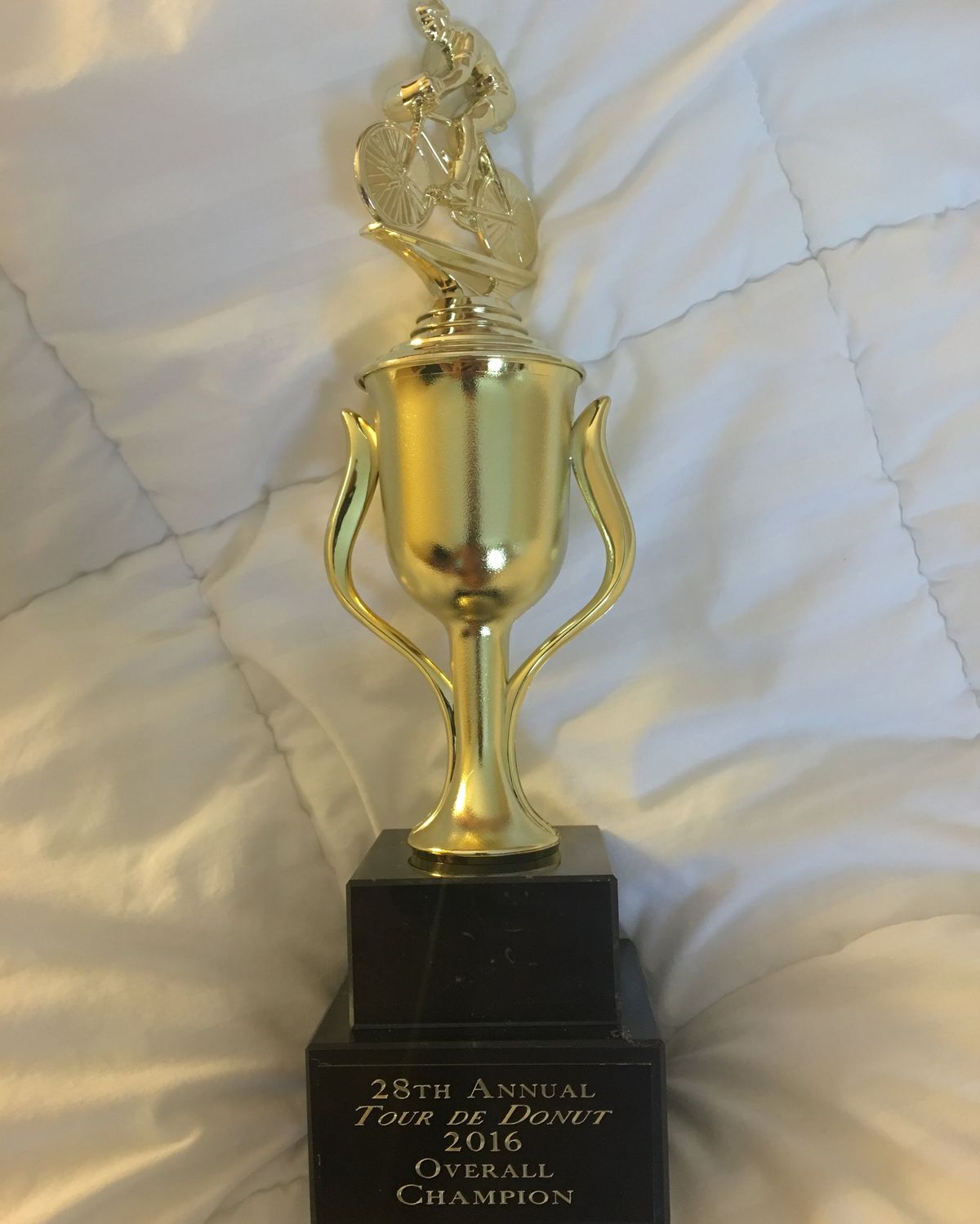 28th Annual Tour de Donut 2016 Overall Champion trophy